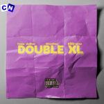 Teee Dollar – Double XL Ft. Shoday & Billirano