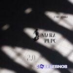 AbegNaija – Mara Pupo 2.0 Mix vi