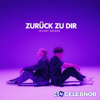 Cover art of Levent Geiger – Zurück Zu Dir