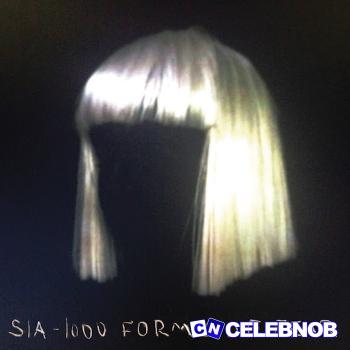 Cover art of Sia – Elastic Heart