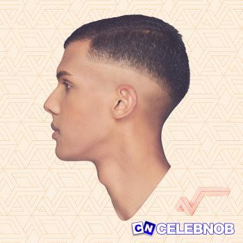Cover art of Stromae – Formidable