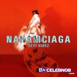 Seyi Vibez - Nahamciaga EP (Album)