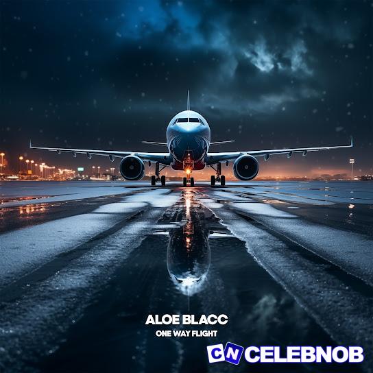 Cover art of Aloe Blacc – One Way Flight