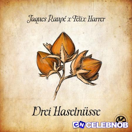 Cover art of Jaques Raupé – 3 Haselnüsse ft Felix Harrer