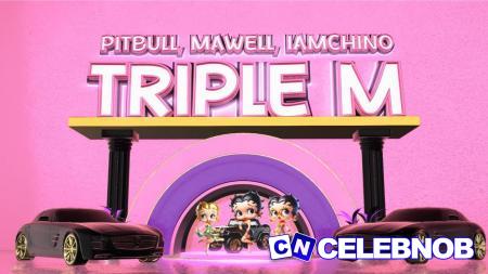 Cover art of Pitbull – Triple M (Remix) Ft. Mawell