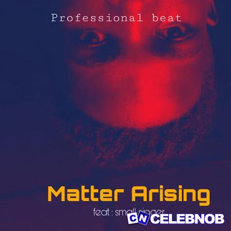 Cover art of Professional Beat – Matter Arising