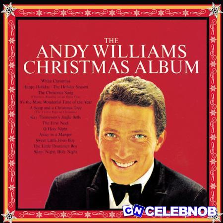 Cover art of Andy Williams – It’s the Most Wonderful Time of the Year