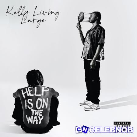Cover art of Kellylivinglarge – Hide the Pain