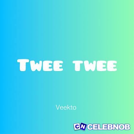 Cover art of Veekto – Twee Twee
