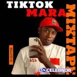 DJ Glitter – TikTok Mara Playlist Part 2 (Track 4) Ft Dj Twenty Two