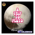 DJ PlentySongz – Pluto Trips (Mixed)