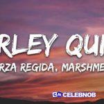 Fuerza Regida – HARLEY QUINN ft. Marshmello