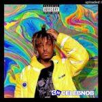 Juice WRLD – My Love Is Serious Baby I Dont Play
