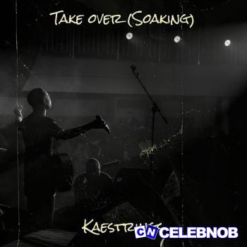 Cover art of Kaestrings – Take over (Soaking)