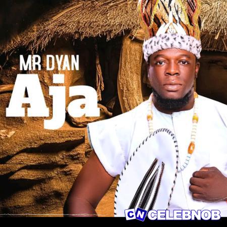 Cover art of Mr Dyan – Aja