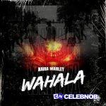 Naira Marley – You Want To See Wahala, Craze