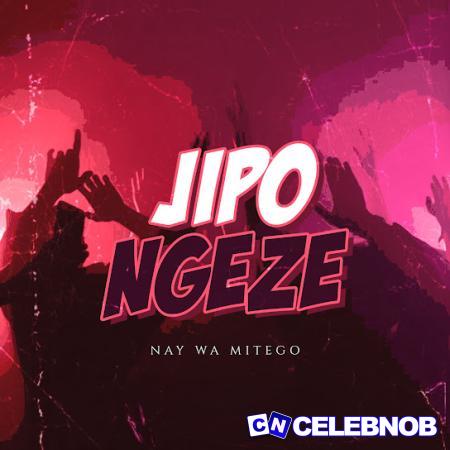 Cover art of Nay Wa Mitego – Jipongeze