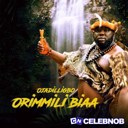 Cover art of Ojadiliigbo – Orimmili Bia