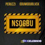 Peruzzi – Nsogbu Ft. Odumodublvck