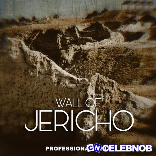 Cover art of Professional Beat – Wall of Jericho