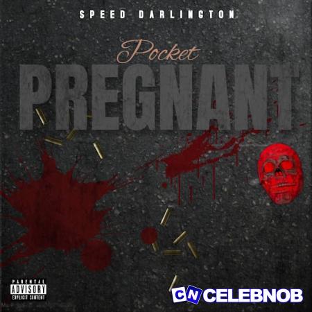 Cover art of Speed Darlington – Pocket Pregnant