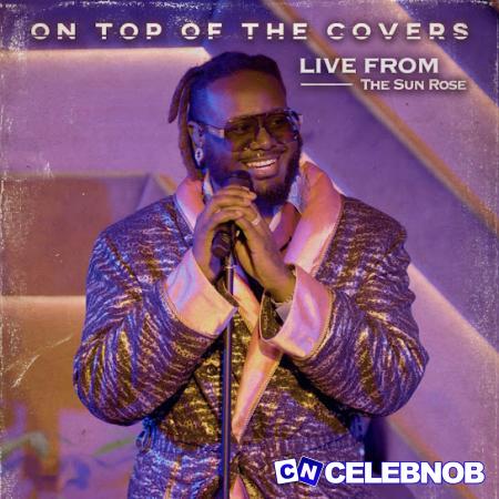 Cover art of T-Pain – Never Too Much (Live)