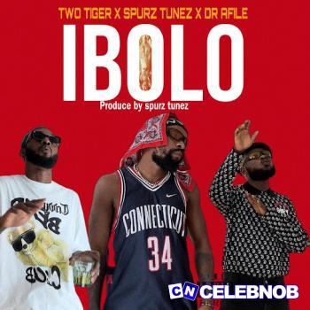 Cover art of Two Tigers – IBOLO ft. Spurz tunez & Sir Dr Afile