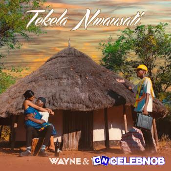 Cover art of Wayne – Tekela Nwansati Ft Tango