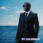 Akon – Sunny Day SONG AND LYRICS NEW [shine by Grayson Guard]