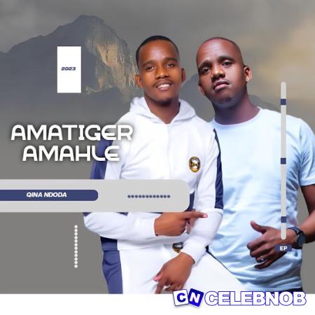 Cover art of Amatiger Amahle – Qina Ndoda