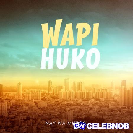 Cover art of Nay Wa Mitego – Wapi Huko