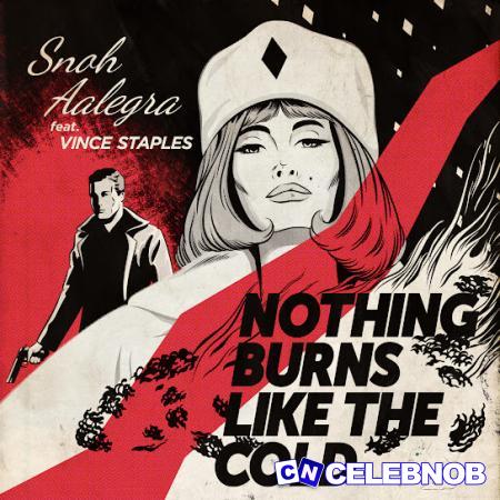 Cover art of Snoh Aalegra – Nothing Burns Like The Cold Ft Vince Staples