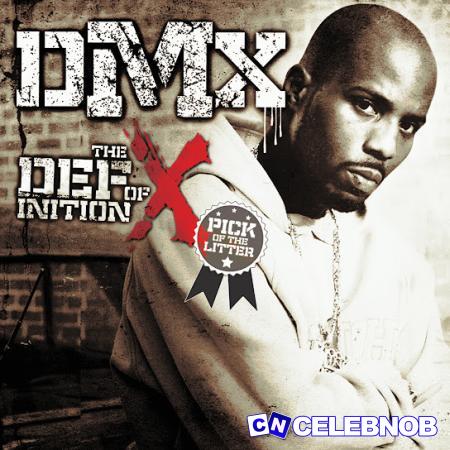 Cover art of DMX – What These Bitches Want ft. Sisqo