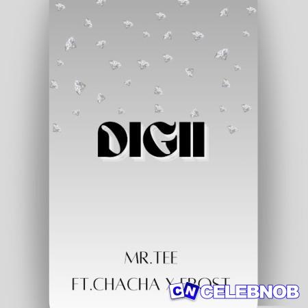 Cover art of Mr.Tee – Digii ft. Chacha & Frost