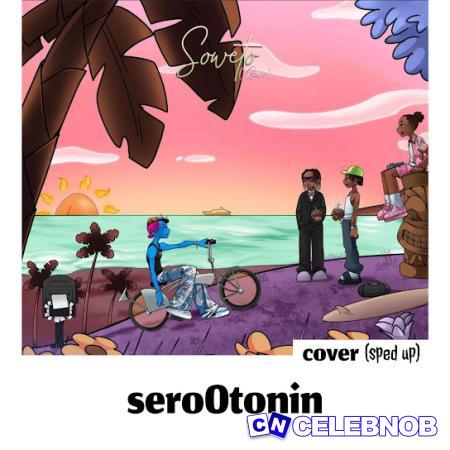 Cover art of SeroOtonin – Soweto Cover (Sped Up)