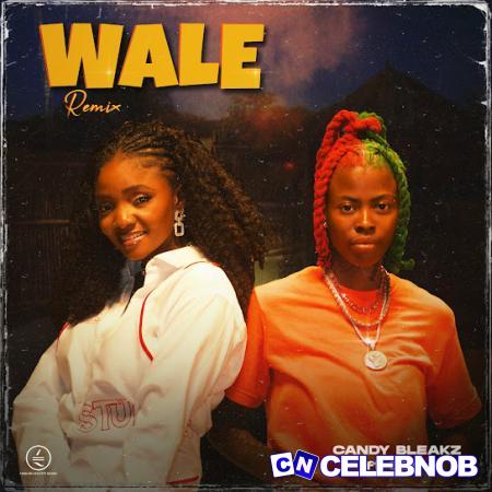 Cover art of Candy Bleakz – Wale (Remix) Ft. Simi
