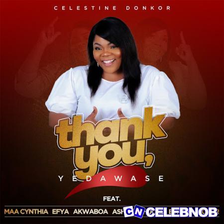Cover art of CELESTINE DONKOR – Thank You, Yedawase
