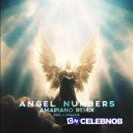 Chris Brown – Angel Numbers (PGO & Preecie Amapiano Remix)