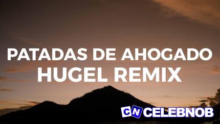 Cover art of Latin Mafia – Patadas De Ahogado (HUGEL Remix) Ft. Humbe