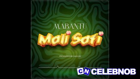 Cover art of Mabantu – Mali Safi