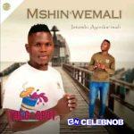 Mshinwemali – Ngicela uhambe Maskandi hit ft Zanothando- Ngicela uhambe Maskandi hit