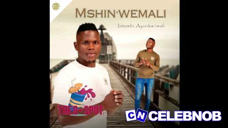 Cover art of MSHINWEMALI – Ngicel Uhambe ft Zothando