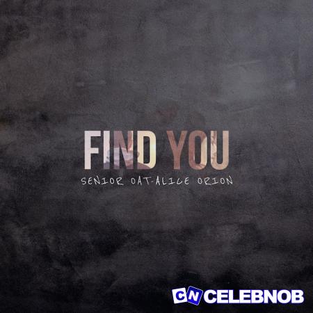Cover art of Senior Oat – Find You ft. Alice Orion