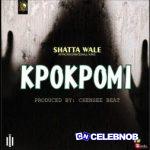 Shatta Wale – Kpokpomi