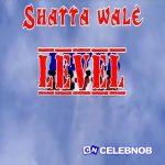 Shatta Wale – Level