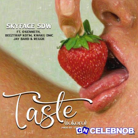 Cover art of Skyface SDW – Taste (Tokoro) Ft Kwaku DMC, O’Kenneth, Beeztrap Kotm, Jay Bahd & Reggie
