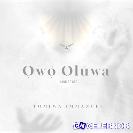 Cover art of Tomiwa Immanuel – Owo Oluwa (Hand of God)