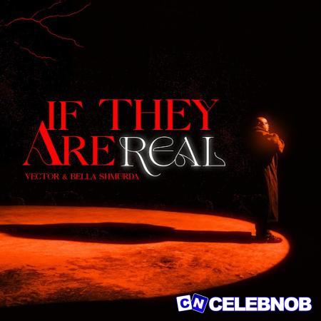 Cover art of Vector – If They Are Real ft. Bella Shmurda