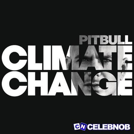 Cover art of Pitbull – Options Ft Stephen Marley