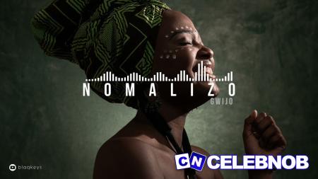Cover art of Yandani – Nomalizo
